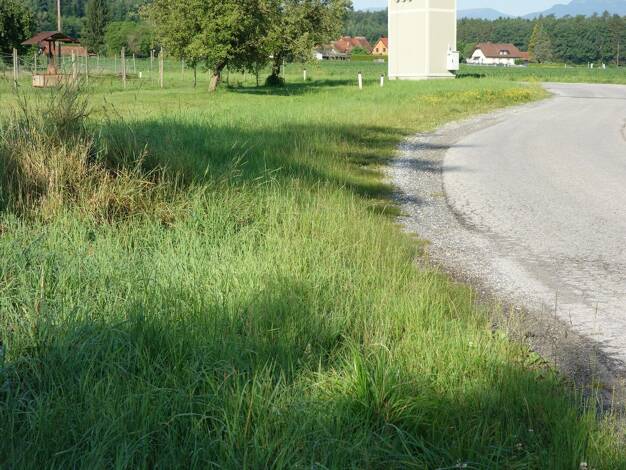 Grundstück zum Kauf 100.000 € 1.840 m² Grundstück Stainz 8510