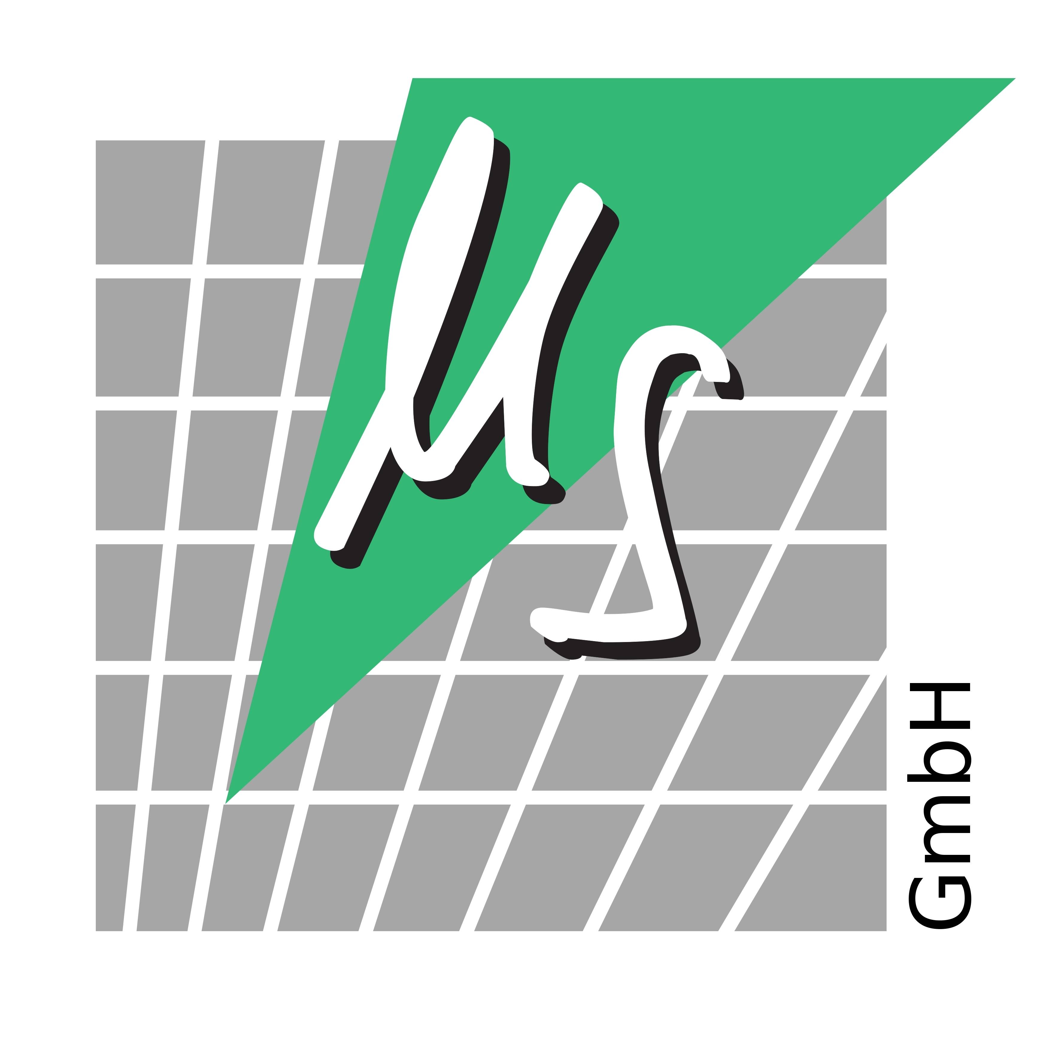 Dipl.-Kfm. Michael Stolz GmbH