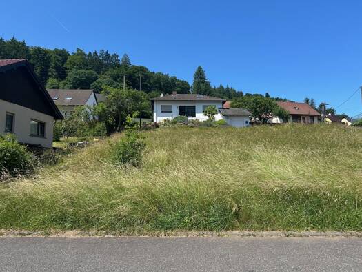 Grundstück zum Kauf 51.500 € 794 m² Grundstück Sankt Thomas 54655