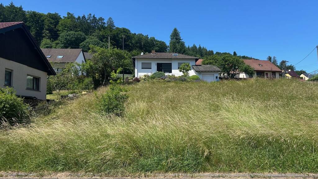 Grundstück zum Kauf 51.500 € 794 m² Grundstück Sankt Thomas 54655