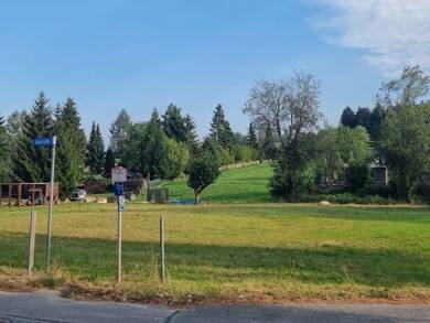 Grundstück zum Kauf 55.500 € 1.060 m² Grundstück Langenbernsdorf Langenbernsdorf 08428