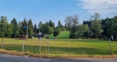 Grundstück zum Kauf 55.500 € 1.060 m² Grundstück Langenbernsdorf Langenbernsdorf 08428