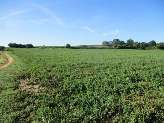 Gewerbepark zum Kauf 58 € 4.970 m² Grundstück In den Almen Weisenheim am Sand 67256