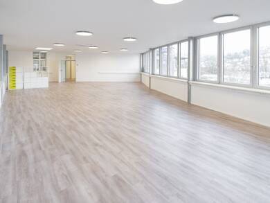Bürofläche zur Miete provisionsfrei 10,50 € 303 m² Bürofläche teilbar von 238 m² bis 541 m² Im Entenbad 23 Lörrach 79541