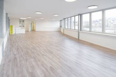 Bürofläche zur Miete provisionsfrei 10,50 € 303 m² Bürofläche teilbar von 238 m² bis 541 m² Im Entenbad 23 Lörrach 79541