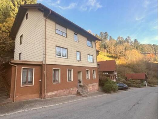 Wohnung zur Miete 500 € 3 Zimmer 60 m² Geschoss EG/3 frei ab 07.04.2026 Lauterbach 78730