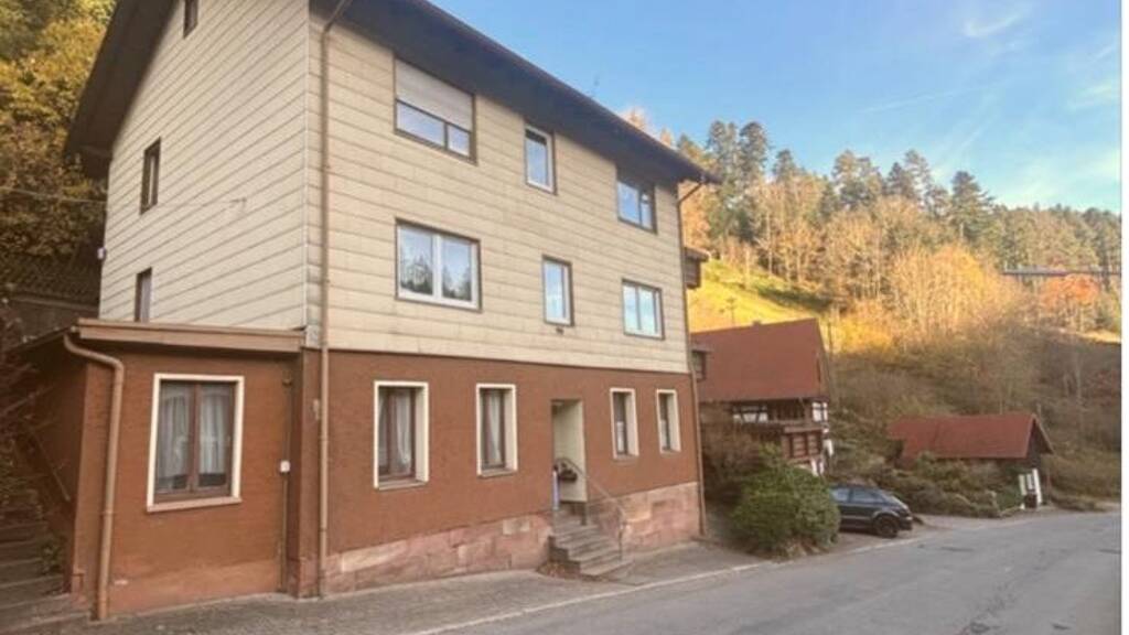 Wohnung zur Miete 500 € 3 Zimmer 60 m² Geschoss EG/3 frei ab 07.04.2026 Lauterbach 78730