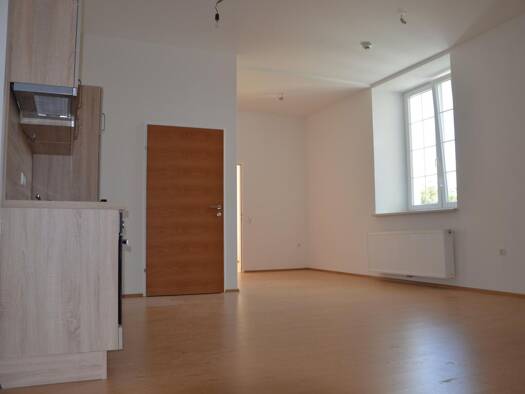 Wohnung zur Miete 355 € 2 Zimmer 59 m² 1. Geschoss Leopold Werndlstraße 25a Sarning Steyr 4400