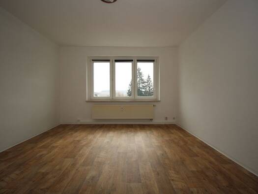 Wohnung zur Miete 318 € 3 Zimmer 57,8 m² EG frei ab sofort Bahnhofstraße 9 Reuth 08538