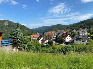 Grundstück zum Kauf 80.000 € 578 m² Grundstück Langenbrand Forbach / Langenbrand 76596