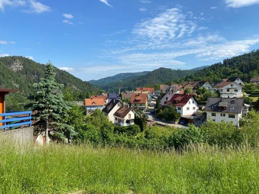 Grundstück zum Kauf 80.000 € 578 m² Grundstück Langenbrand Forbach / Langenbrand 76596