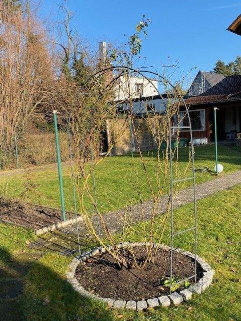Einfamilienhaus zum Kauf - Ansicht 6