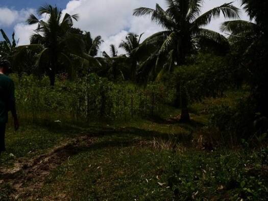 Grundstück zum Kauf 244.000 € 37.000 m² Grundstück Ferrol 5506