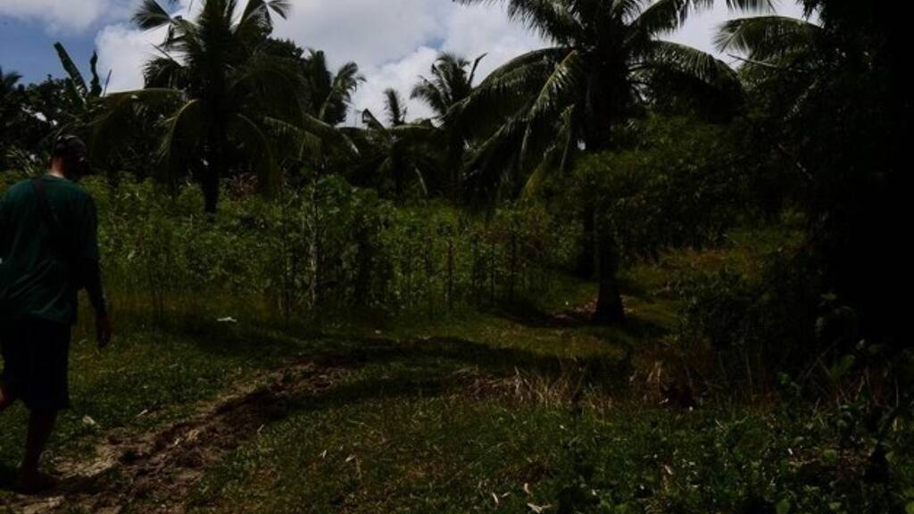 Grundstück zum Kauf 244.000 € 37.000 m² Grundstück Ferrol 5506