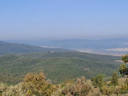 Bauernhaus zum Kauf 980.000 € 8 Zimmer 400 m² 45.000 m² Grundstück Siena