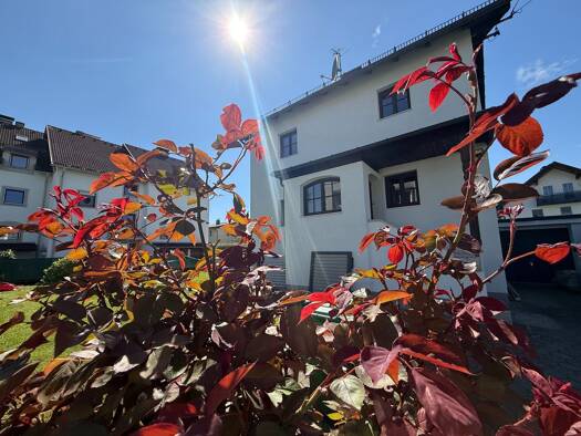 Einfamilienhaus zum Kauf 1.100.000 € 6 Zimmer 118 m² 475 m² Grundstück Liefering II Salzburg 5020
