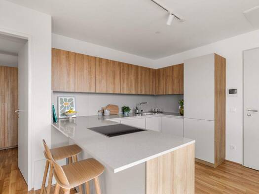 Wohnung zur Miete - Erstbezug 1.444 € 2 Zimmer 49,2 m² 8. Geschoss frei ab sofort Dresdner Straße Wien 1200