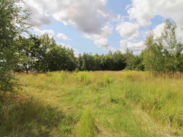 Grundstück zum Kauf 222.000 € 1.200 m² Grundstück Yorckgebiet Chemnitz 09127