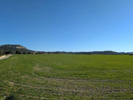 Grundstück zum Kauf 320.000 € 31.590 m² Grundstück Sineu 07510