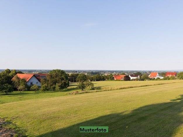 Land-/Forstwirtschaft zum Kauf 35.500 € 3.876 m² Grundstück Sindlingen West 65931