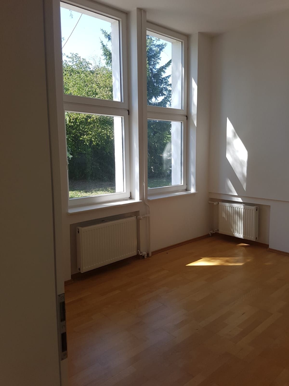 Wohnung zur Miete 300 € 25 m²<br/>Wohnfläche Rinderspacher-Str. 19 Dinglingen - West Lahr/Schwarzwald 77933