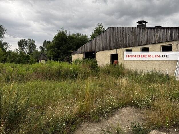Land-/Forstwirtschaft zum Kauf 160.000 € 53.000 m² Grundstück Neuholland Liebenwalde 16559