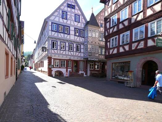 Immobilie zum Kauf als Kapitalanlage geeignet 1.050.000 € 10 Zimmer 550 m² 395 m² Grundstück Schloßgasse 8-10 Mosbach 74821