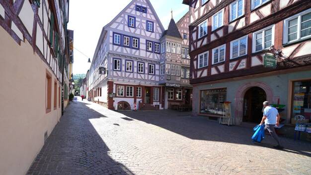 Immobilie zum Kauf als Kapitalanlage geeignet 1.050.000 € 10 Zimmer 550 m² 395 m² Grundstück Schloßgasse 8-10 Mosbach Mosbach 74821