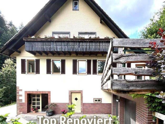 Mehrfamilienhaus zum Kauf provisionsfrei 478.000 € 10 Zimmer 263 m² 17.301 m² Grundstück Wildschapbachstraße 6 Schapbach Bad Rippoldsau-Schapbach 77776