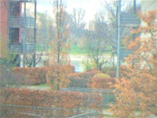 Wohnung zur Miete 1.222 € 2,5 Zimmer 69 m² 1. Geschoss frei ab 01.11.2026 Mülheim Köln 51063