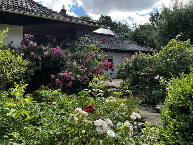 Einfamilienhaus zum Kauf provisionsfrei 455.000 € 7 Zimmer 235 m² 1.750 m² Grundstück Marklohe Marklohe 31608