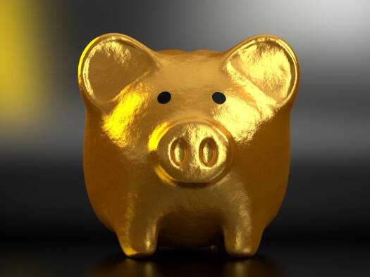 Haus zum Kauf 619.561 € 5 Zimmer 148 m² 658 m² Grundstück Nienborg Heek-Nienborg 48619