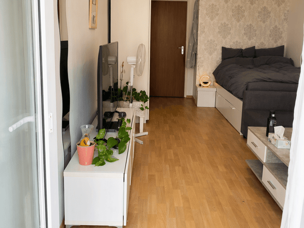 Studio zur Miete 660 € 1 Zimmer 35 m² 2. Geschoss frei ab sofort Bruderwöhrdstraße 16 Ostenviertel Regensburg 93055