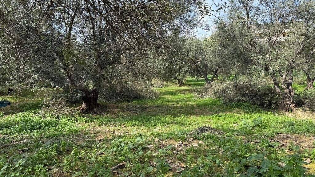 Land-/Forstwirtschaft zum Kauf 140.000 € 1.060 m² Grundstück Kreta