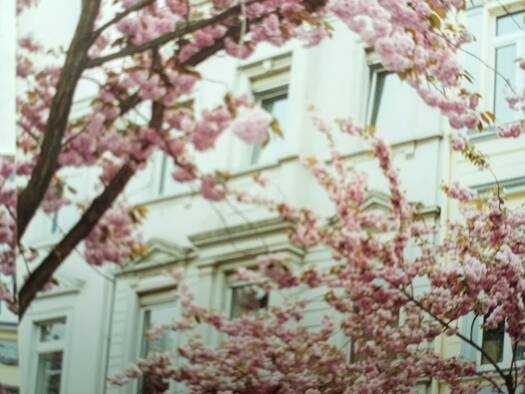 Wohnung zur Miete 850 € 3 Zimmer 70 m² Geschoss 4/16 frei ab 01.06.2026 Zentrum Bonn 53111