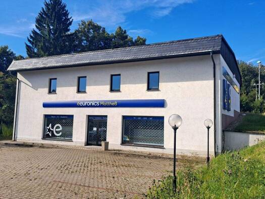 Einfamilienhaus zum Kauf 249.000 € 1 Zimmer 450 m² 1.280 m² Grundstück frei ab sofort Rudolf-Breitscheid-Str. 9 Olbernhau 09526