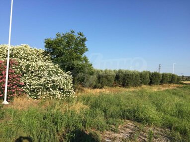 Landwirtschaftliche Fläche zum Kauf 55.000 € Nea Fokea