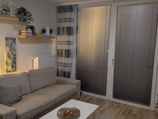 Studio zur Miete Wohnen auf Zeit 1.193 € 1 Zimmer 43 m² frei ab 30.04.2027 Wien 1100