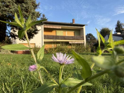 Mehrfamilienhaus zum Kauf 799.000 € 5 Zimmer 160 m² 912 m² Grundstück Nieder-Erlenbach Frankfurt am Main 60437