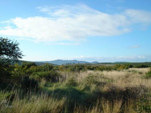 Land-/Forstwirtschaft zum Kauf 64.000 € 4.879 m² Grundstück Sukošan 23206