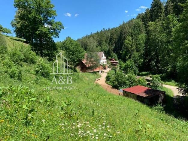 Einfamilienhaus zum Kauf 1.290.000 € 4 Zimmer 245 m² 10.800 m² Grundstück Nagold 72202
