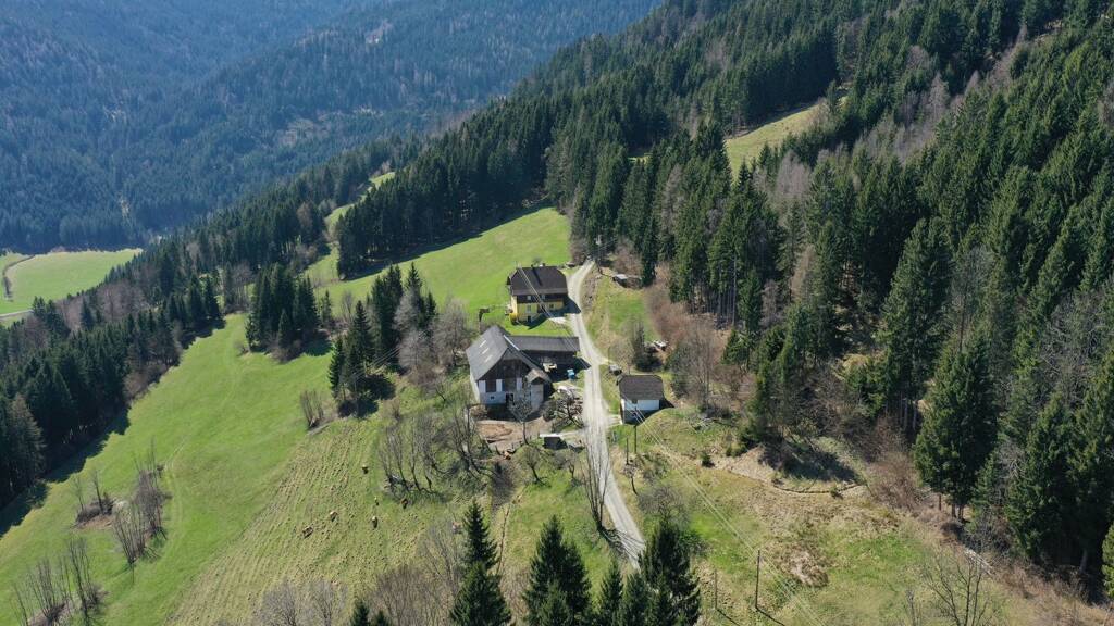 Land-/Forstwirtschaft zum Kauf 950.000 € 270.000 m² Himmelberg 9562