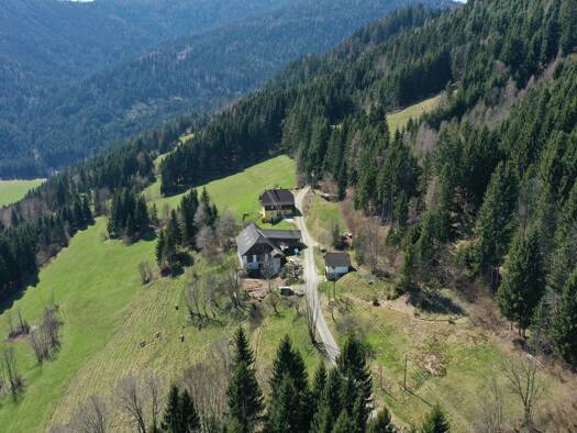Land-/Forstwirtschaft zum Kauf 950.000 € 270.000 m² Himmelberg 9562