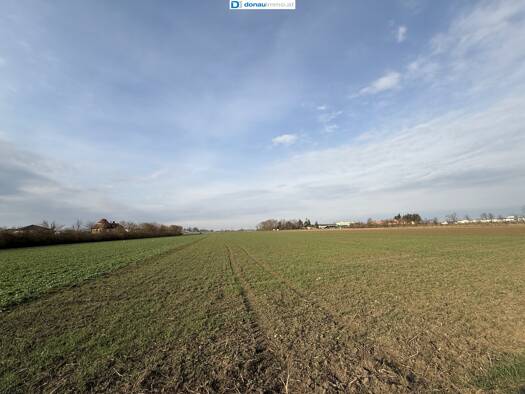 Grundstück zum Kauf 3.198 m² Grundstück Nitzing 3430