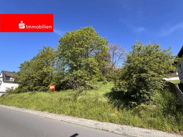 Grundstück zum Kauf 149.000 € 1.604 m² Grundstück frei ab sofort Driedorf Driedorf 35759