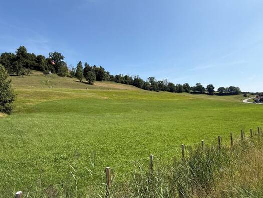 Land-/Forstwirtschaft zum Kauf 220.000 € 45.679 m² Grundstück Eglofs Argenbühl 88260