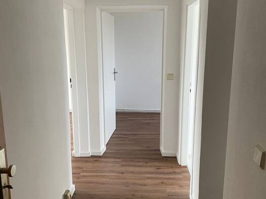 Wohnung zur Miete 408 € 3 Zimmer 58,4 m² frei ab sofort Niemberger Straße 3 Oppin Landsberg 06188