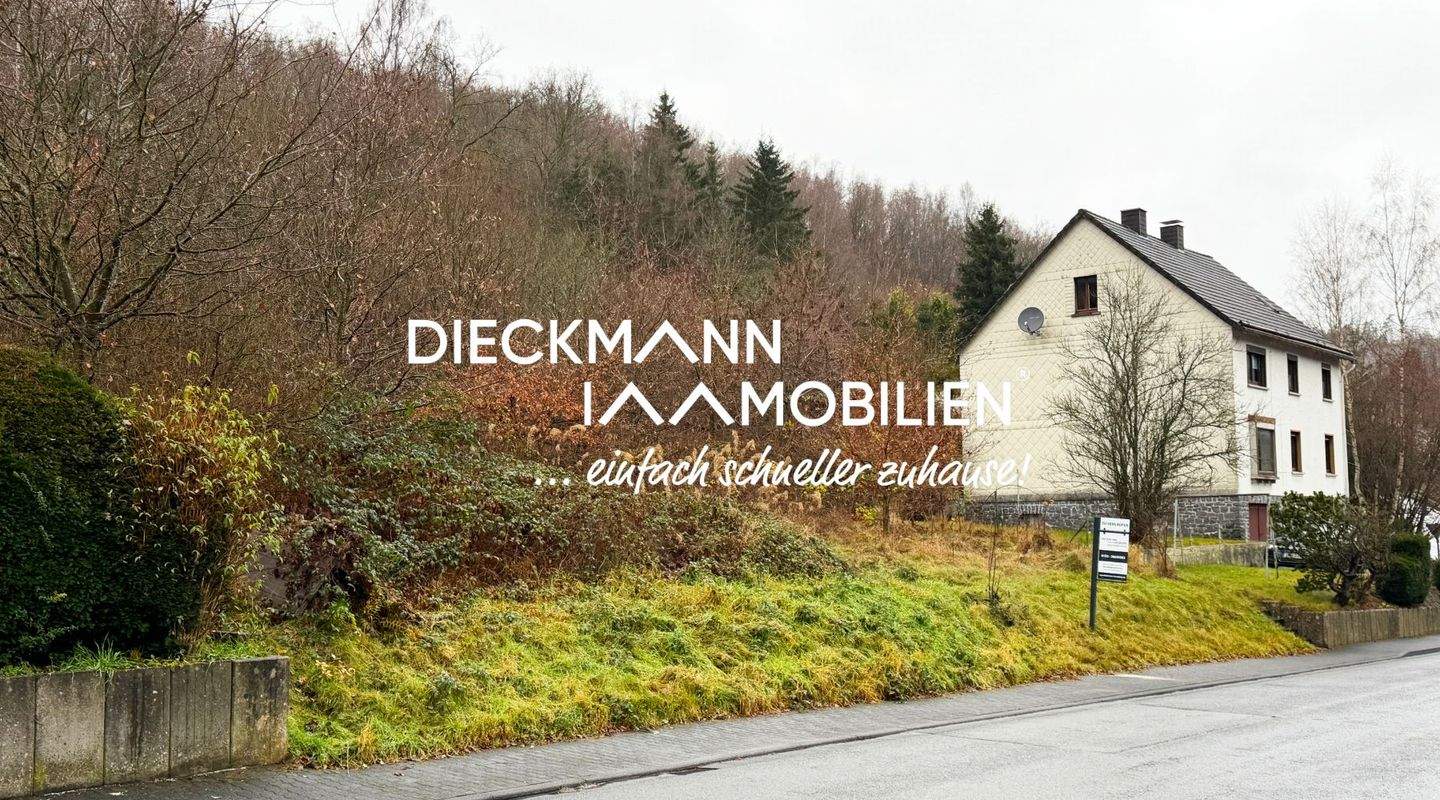 Einfamilienhaus zum Kauf, Niederdreisbach