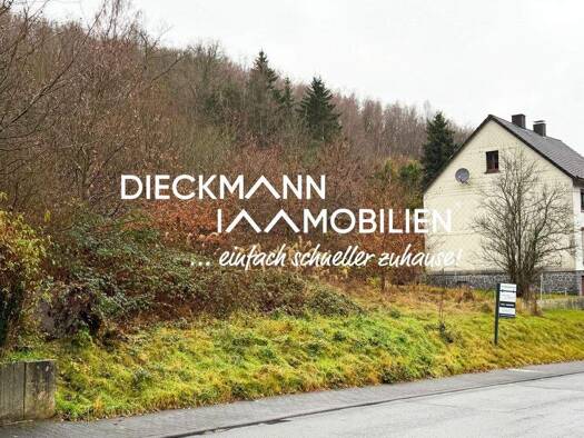 Einfamilienhaus zum Kauf 332.057 € 5 Zimmer 159,5 m² 745 m² Grundstück Niederdreisbach 57520