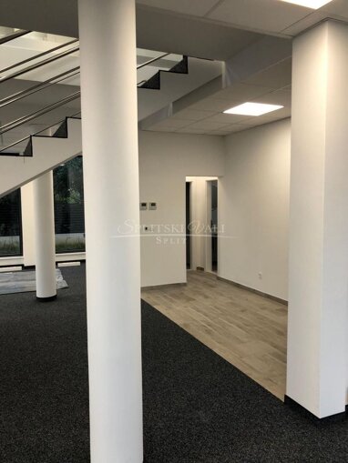 Büro-/Praxisfläche zur Miete 4.000 € 10 Zimmer Kastel Novi